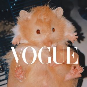 Meet your Posher, Cheyenne